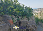 mini_IMG_20220611_074317