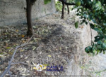 mini_IMG_20220611_074444