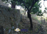 mini_IMG_20220611_074528