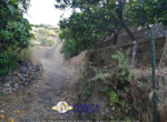 mini_IMG_20220611_074559