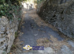 mini_IMG_20220611_074814