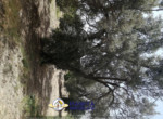 mini_IMG_20220624_114416