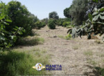 mini_IMG_20220624_114459