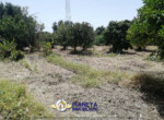 mini_IMG_20220624_114524