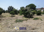 mini_IMG_20220624_114539