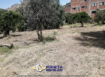 mini_IMG_20220624_114623
