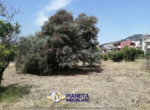 mini_IMG_20220624_114717