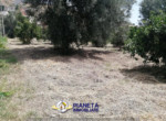 mini_IMG_20220624_114913