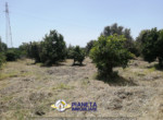 mini_IMG_20220624_115014