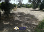 mini_IMG_20220624_115056