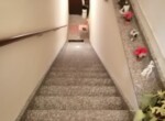 IMG_20211116_095702
